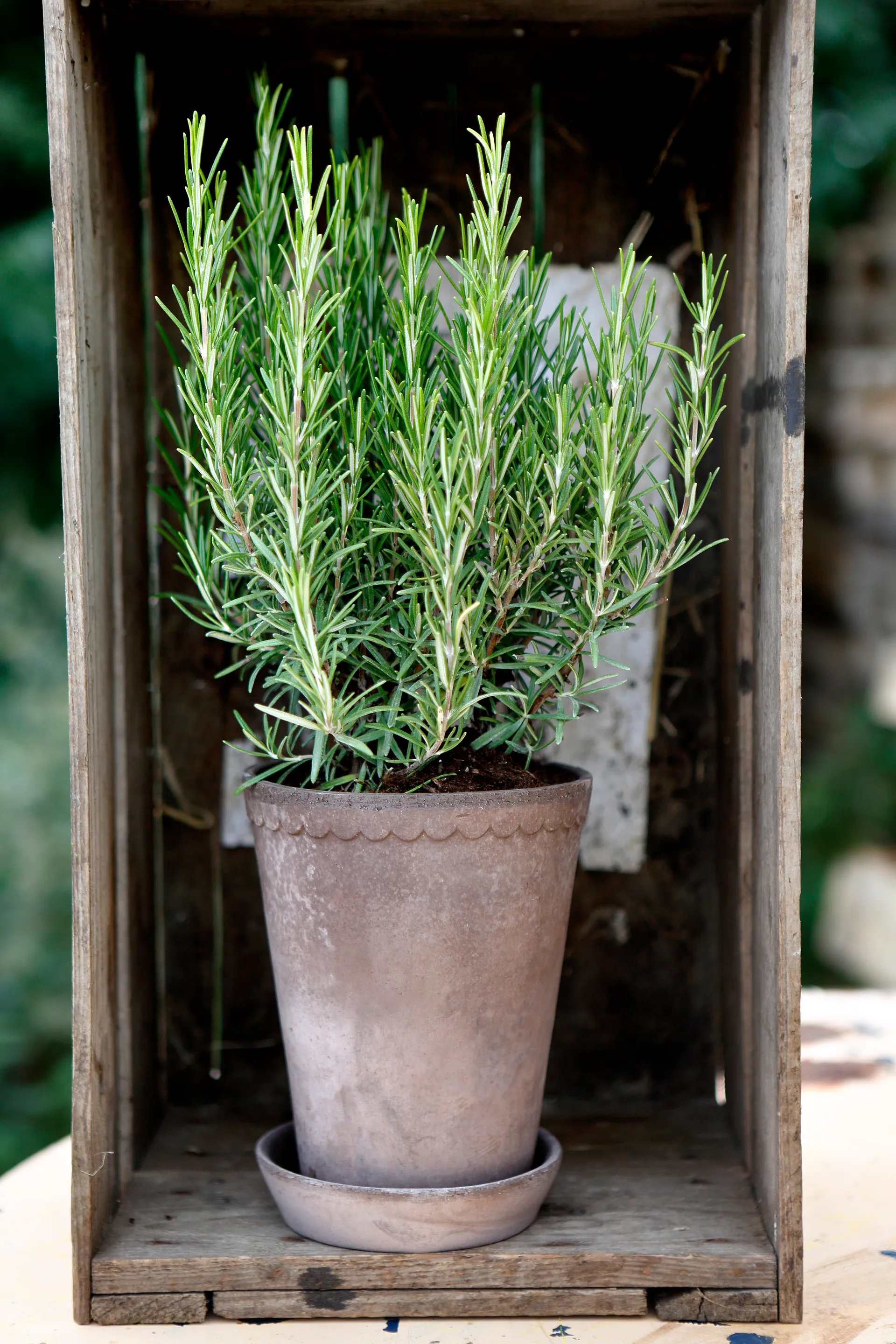 Helena pot hoog Ø14 cm, Grijs Bergs Potter