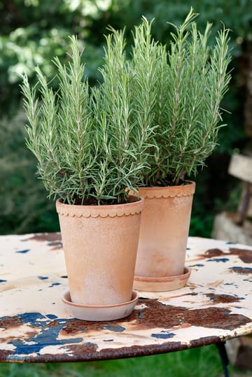 Helena pot hoog Ø14 cm - Roze - Bergs Potter