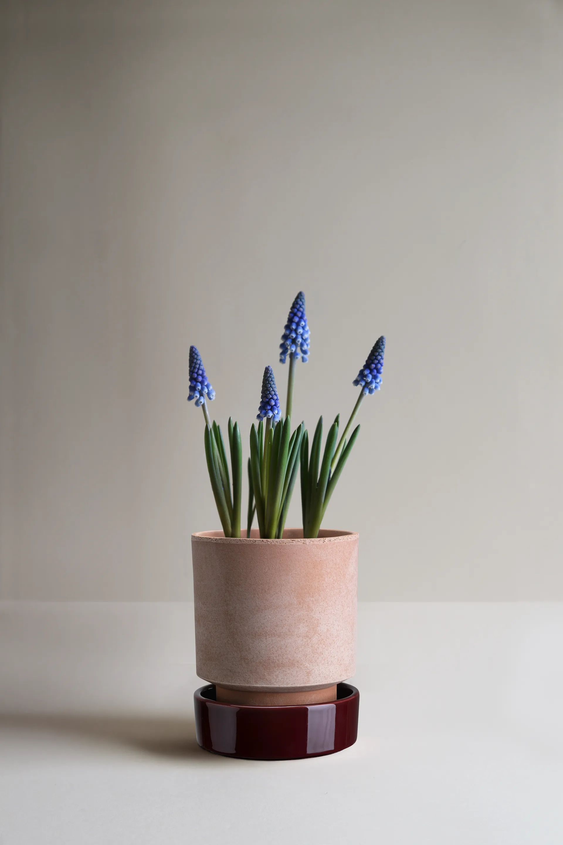 Hoff pot, Ø14 cm, Raw Rosa-Deep Burgundy Bergs Potter