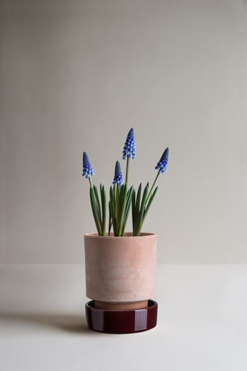 Hoff pot - Ø14 cm, Raw Rosa-Deep Burgundy - Bergs Potter