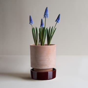 Hoff pot - Ø16 cm, Raw Rosa-Deep Burgundy - Bergs Potter