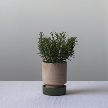 Hoff pot - Ø16 cm, Raw Rosa-Emerald Green - Bergs Potter