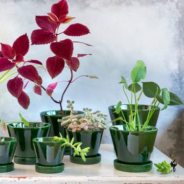 Julie pot geglazuurd Ø17 cm - Green emerald - Bergs Potter