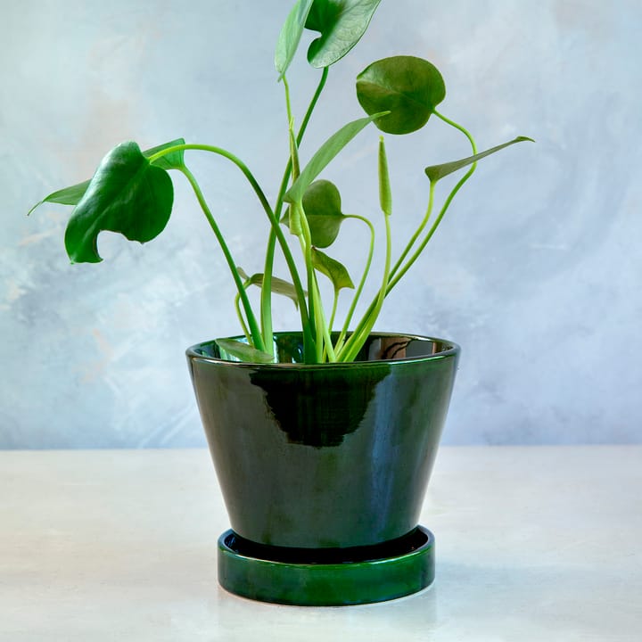 Julie pot geglazuurd Ø19 cm, Green emerald Bergs Potter