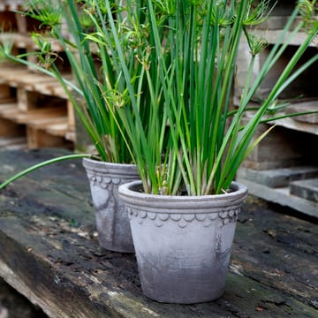 Københavner pot Ø18 cm - Grijs - Bergs Potter