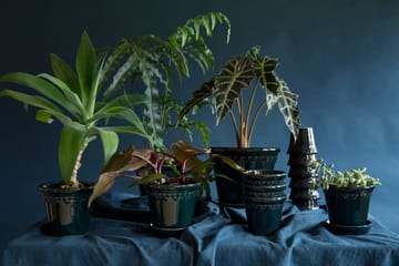 Københavner pot geglazuurd Ø10 cm - Blauw - Bergs Potter