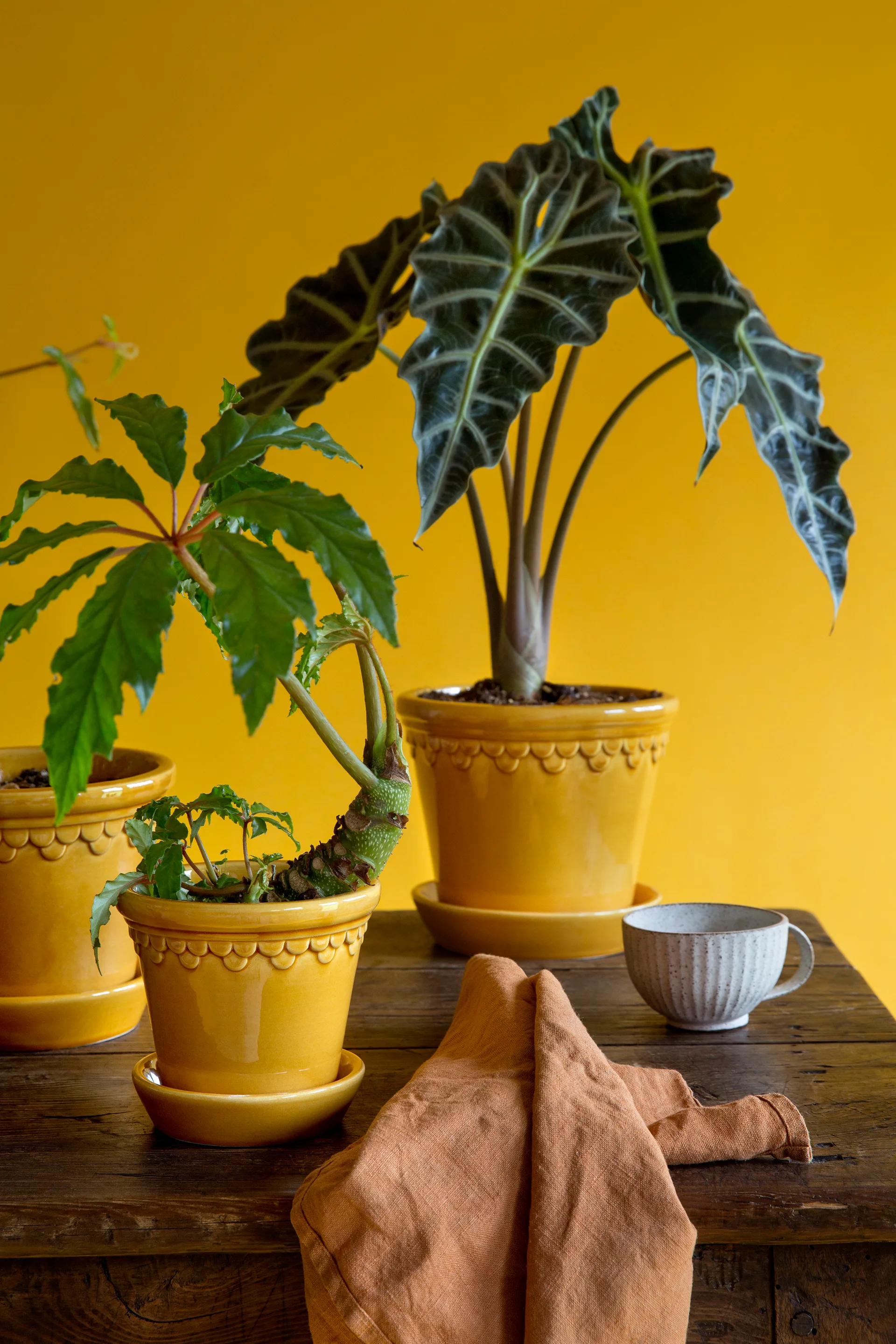 Københavner pot geglazuurd Ø10 cm, Geel Bergs Potter