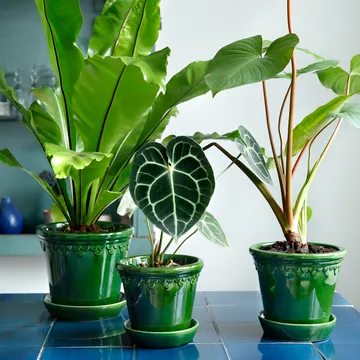 Københavner pot geglazuurd - Groen, Ø18 cm - Bergs Potter