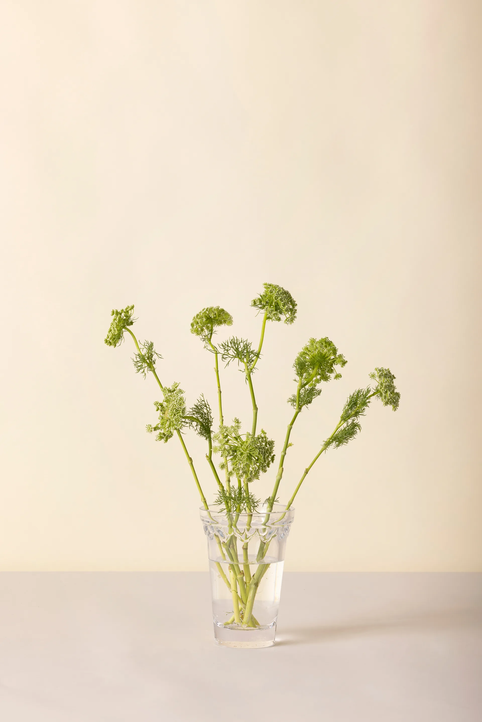 Kopenhagen vaas, Helder, 18,5 cm Bergs Potter