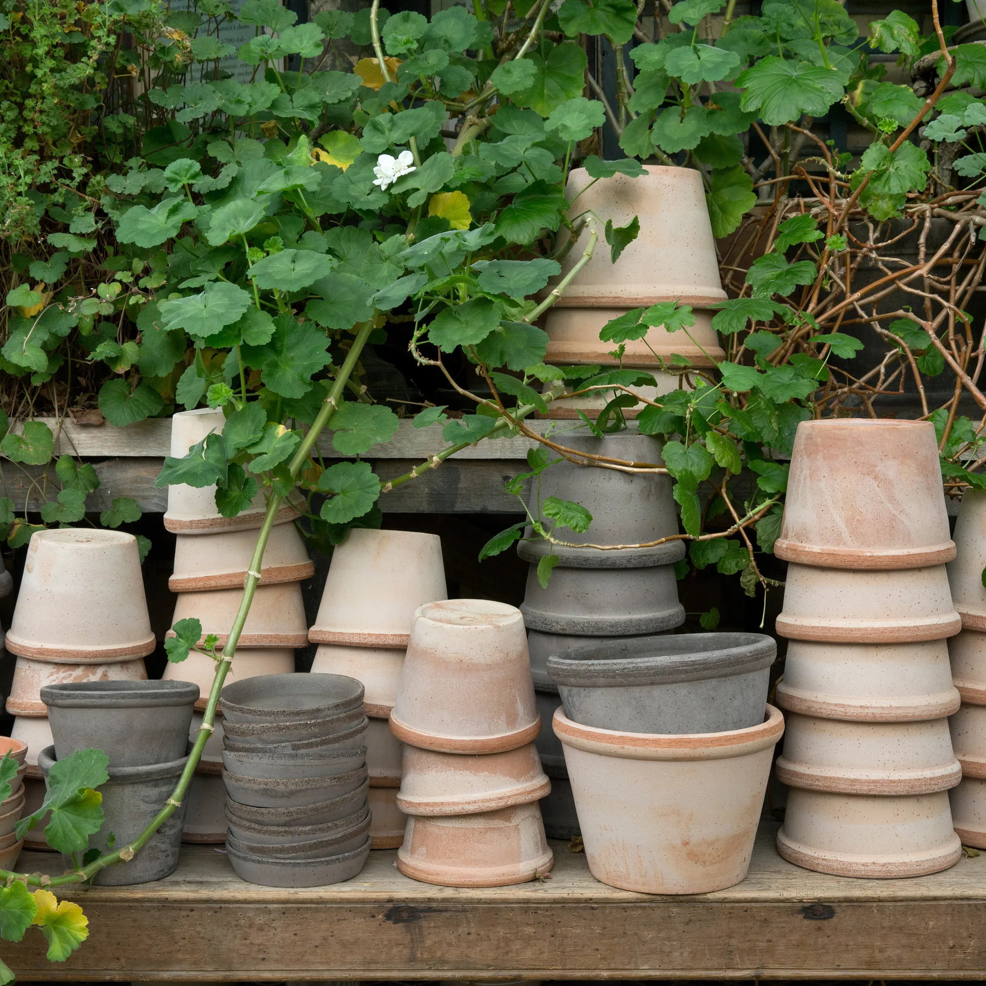 Parade pot 18 cm, Grijs Bergs Potter