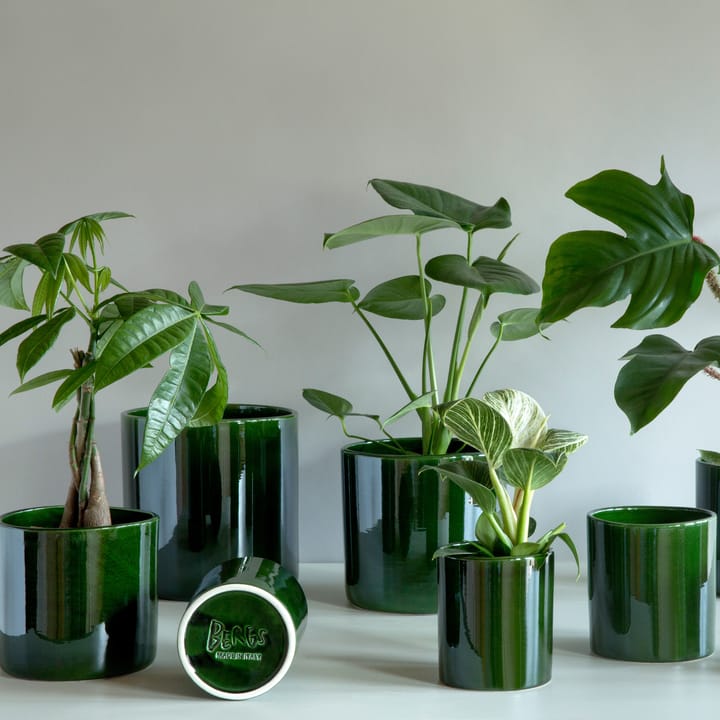 Romeo pot geglazuurd Ø11 cm, Groen Bergs Potter