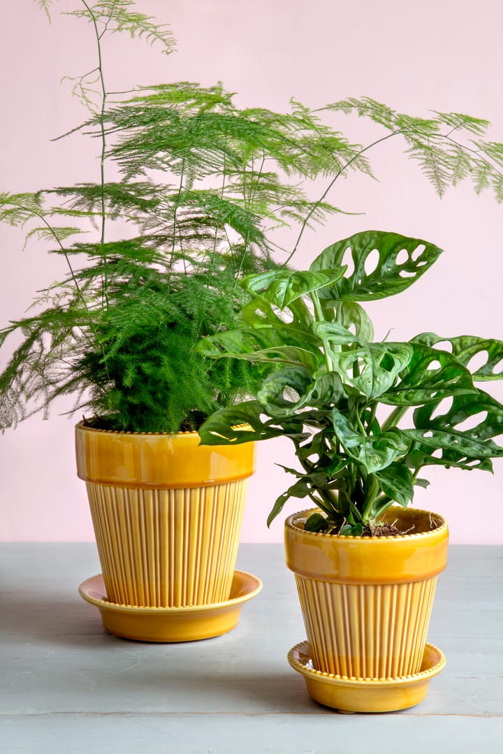 Simona bloempot geglazuurd Ø12 cm, Yellow Bergs Potter