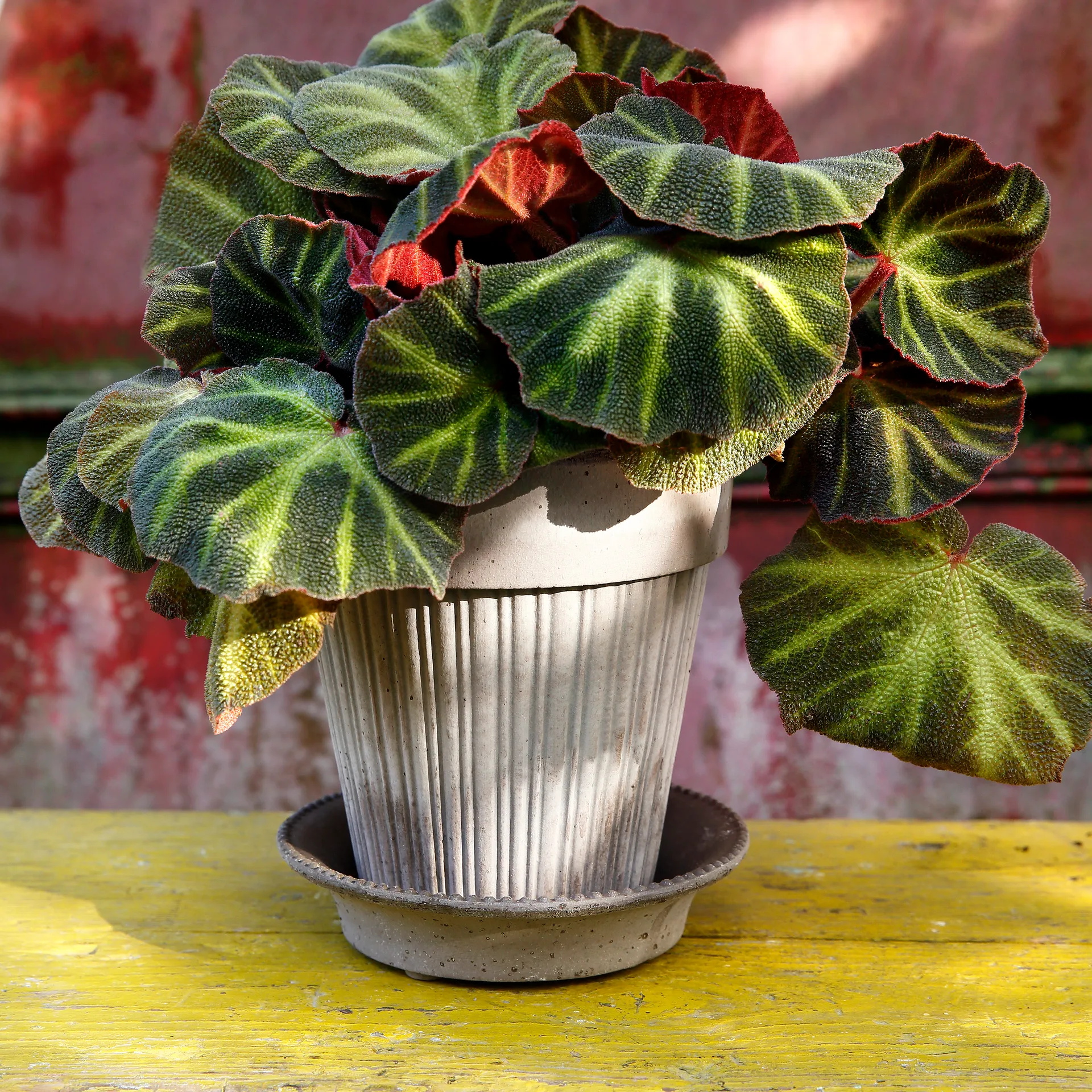 Simona pot 16 cm, Grijs Bergs Potter