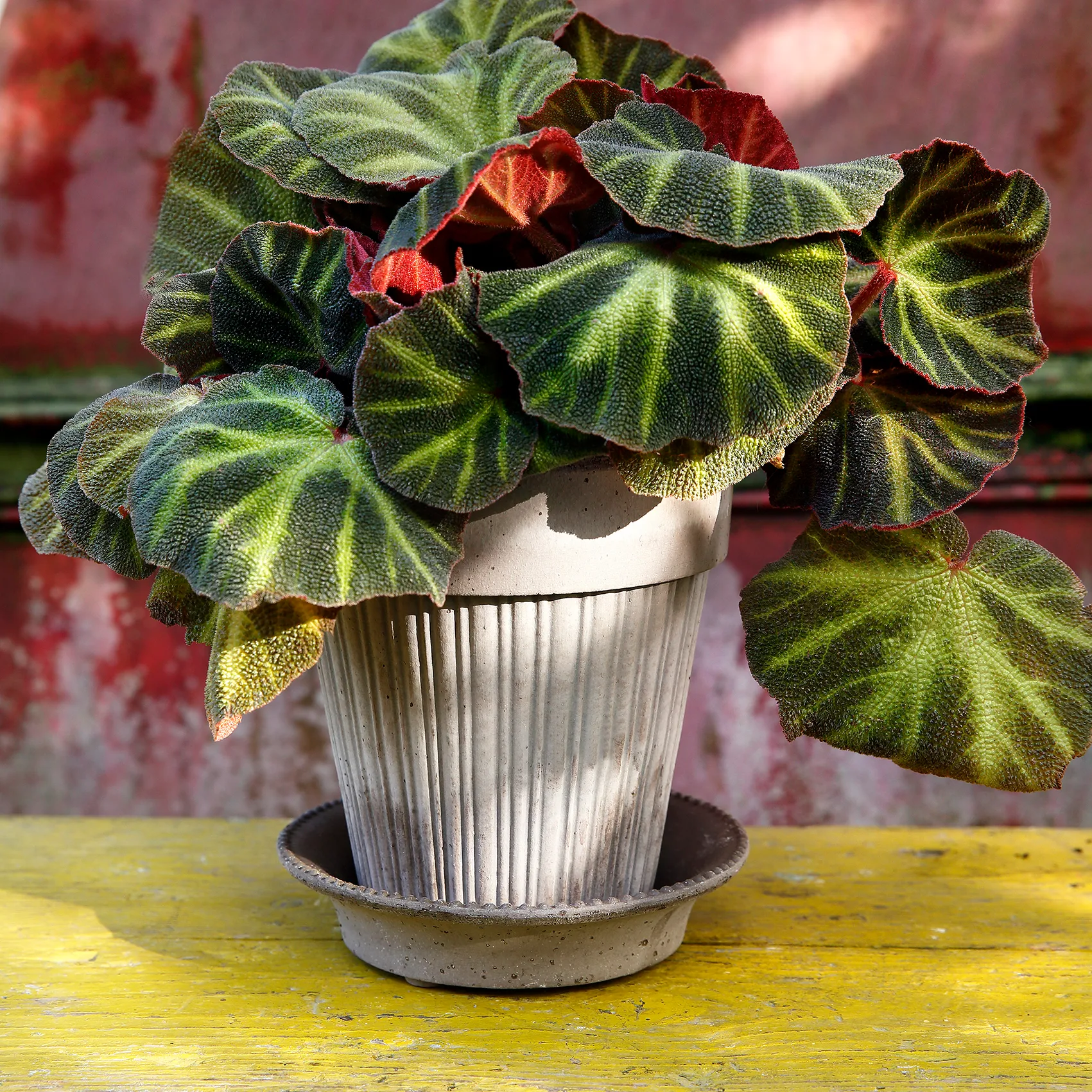 Simona pot Ø18 cm, Grijs Bergs Potter