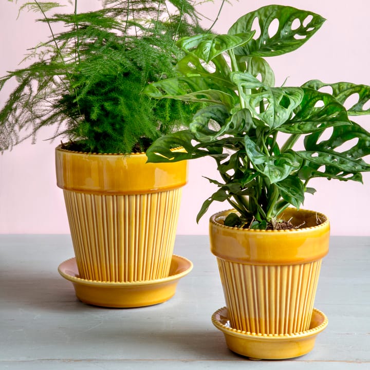 Simona pot geglazuurd Ø14 cm, Geel Bergs Potter