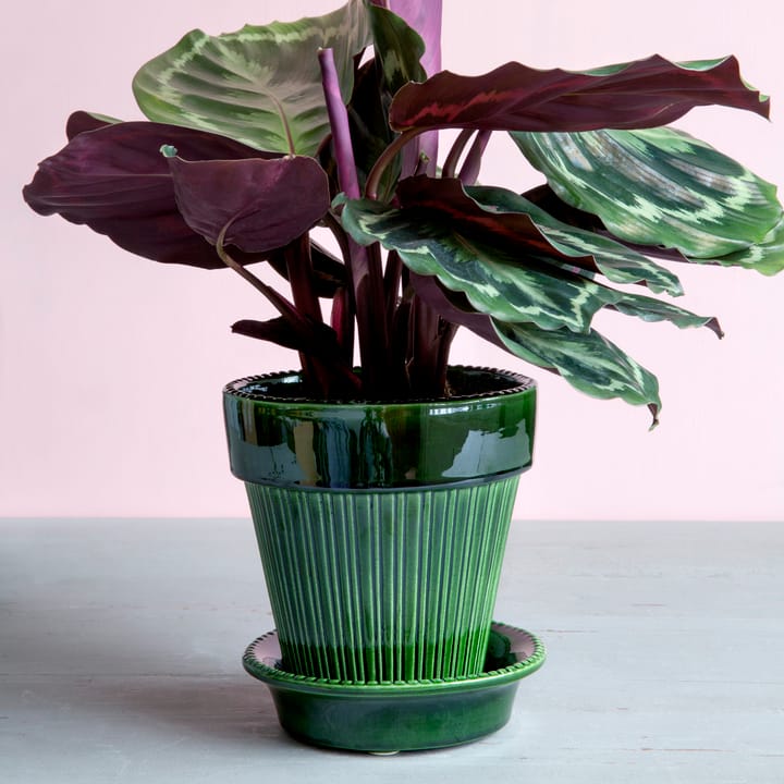 Simona pot geglazuurd Ø16 cm, Groen Bergs Potter
