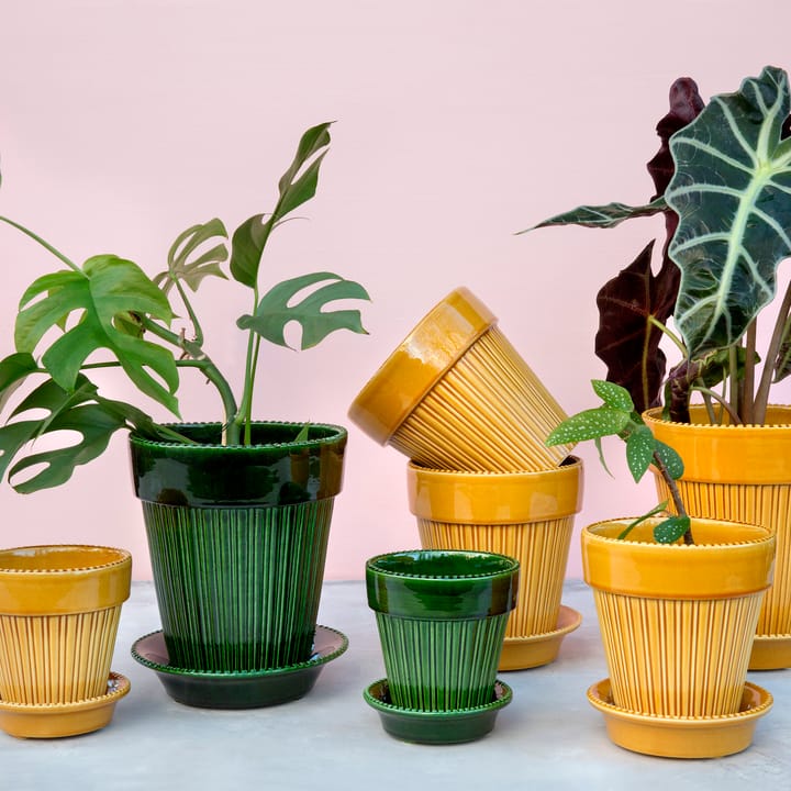 Simona pot geglazuurd Ø16 cm, Groen Bergs Potter