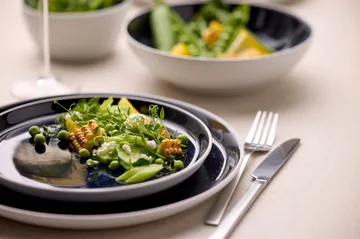 Bitz bord gastro Ø 21 cm - Wit-donkerblauw - Bitz