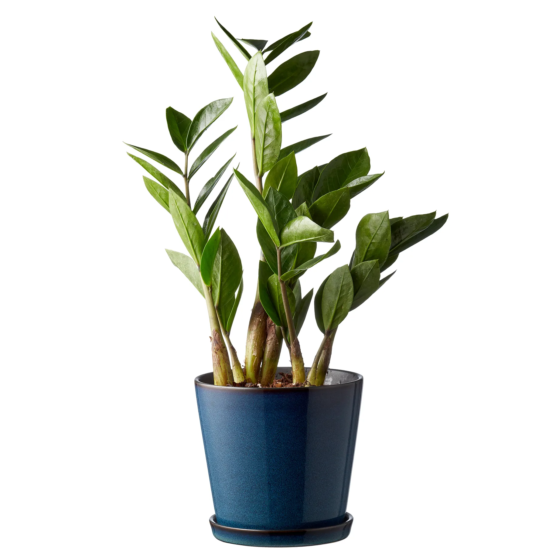 Bitz pot met schotel Ø14 cm, Donkerblauw-zwart Bitz