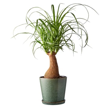 Bitz pot met schotel Ø14 cm - Groen-zwart - Bitz