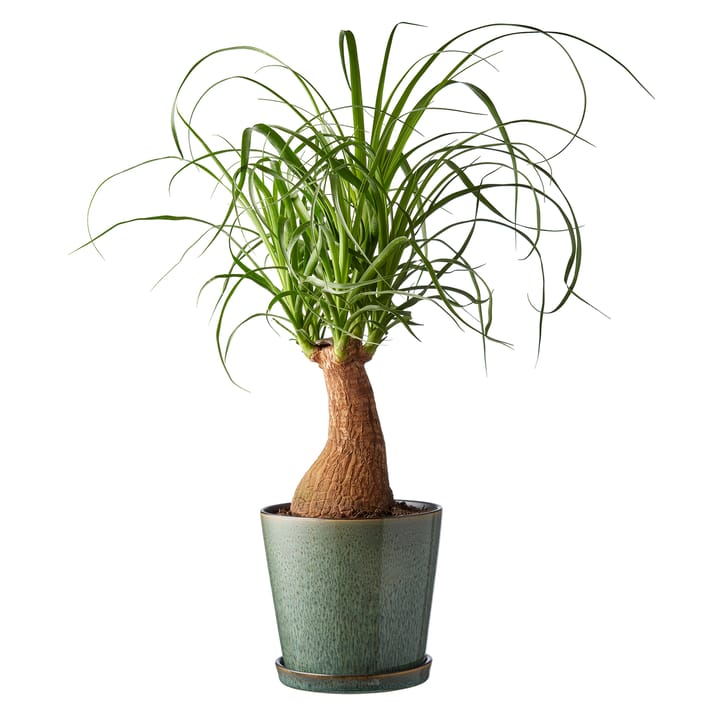 Bitz pot met schotel Ø14 cm, Groen-zwart Bitz