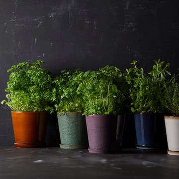 Bitz pot met schotel Ø14 cm - Groen-zwart - Bitz
