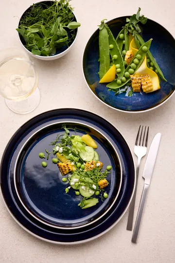 Bitz schaal gastro Ø12 cm - Wit-donkerblauw - Bitz