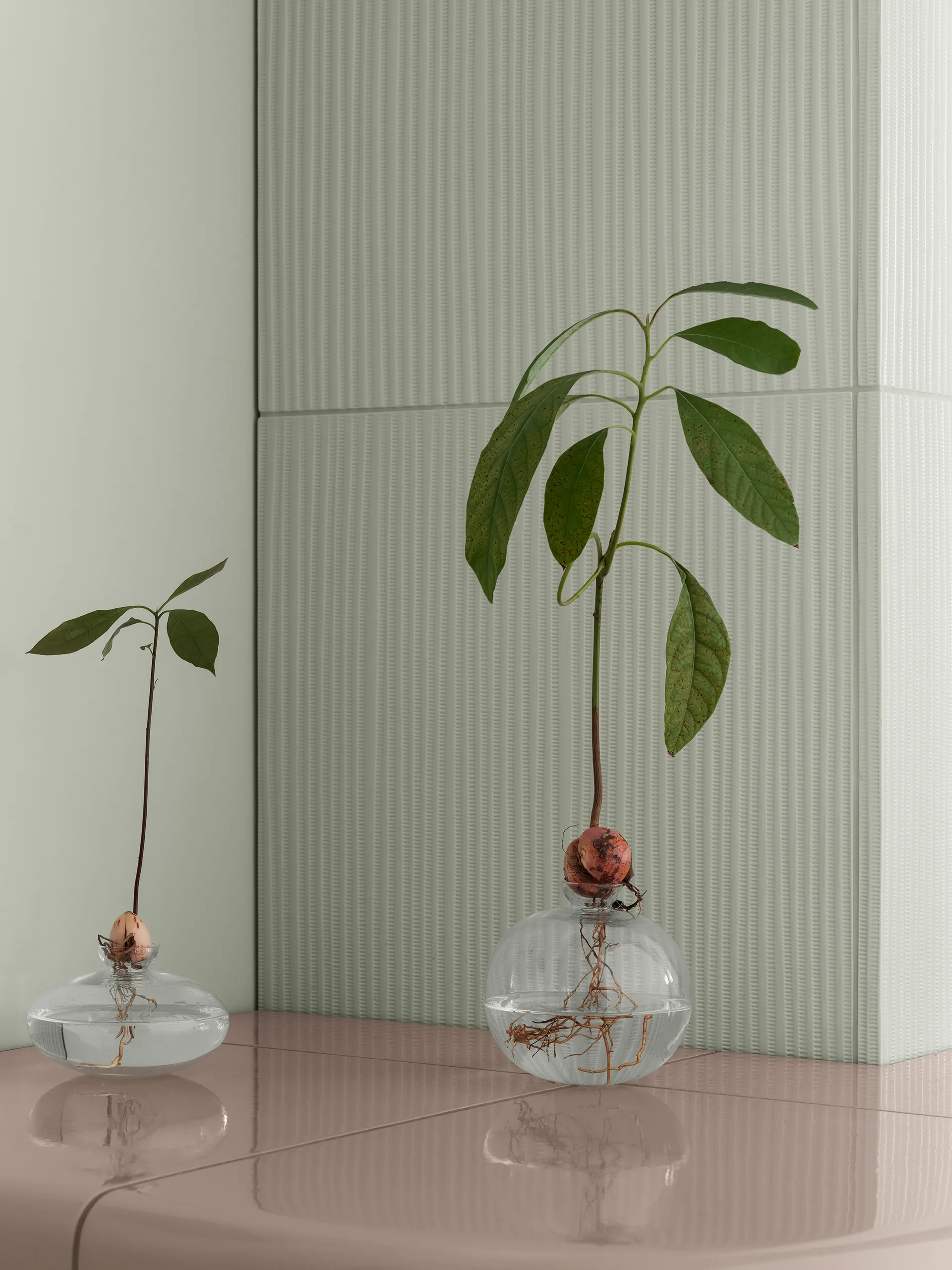 Avo vaas 9,5 cm, Helder blomus