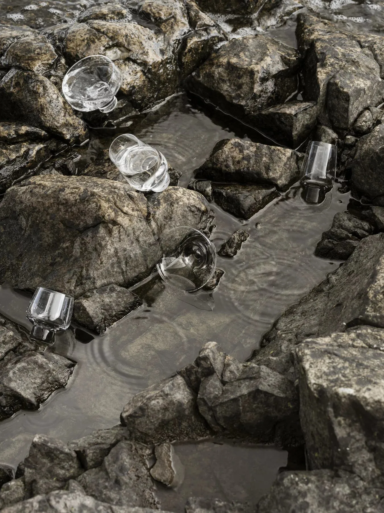 Koyoi martiniglas 11 cl, Klaar blomus