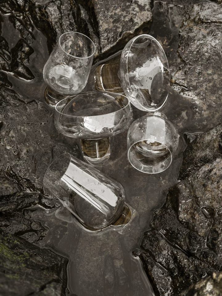 Koyoi proseccoglas 20 cl, klaar Blomus