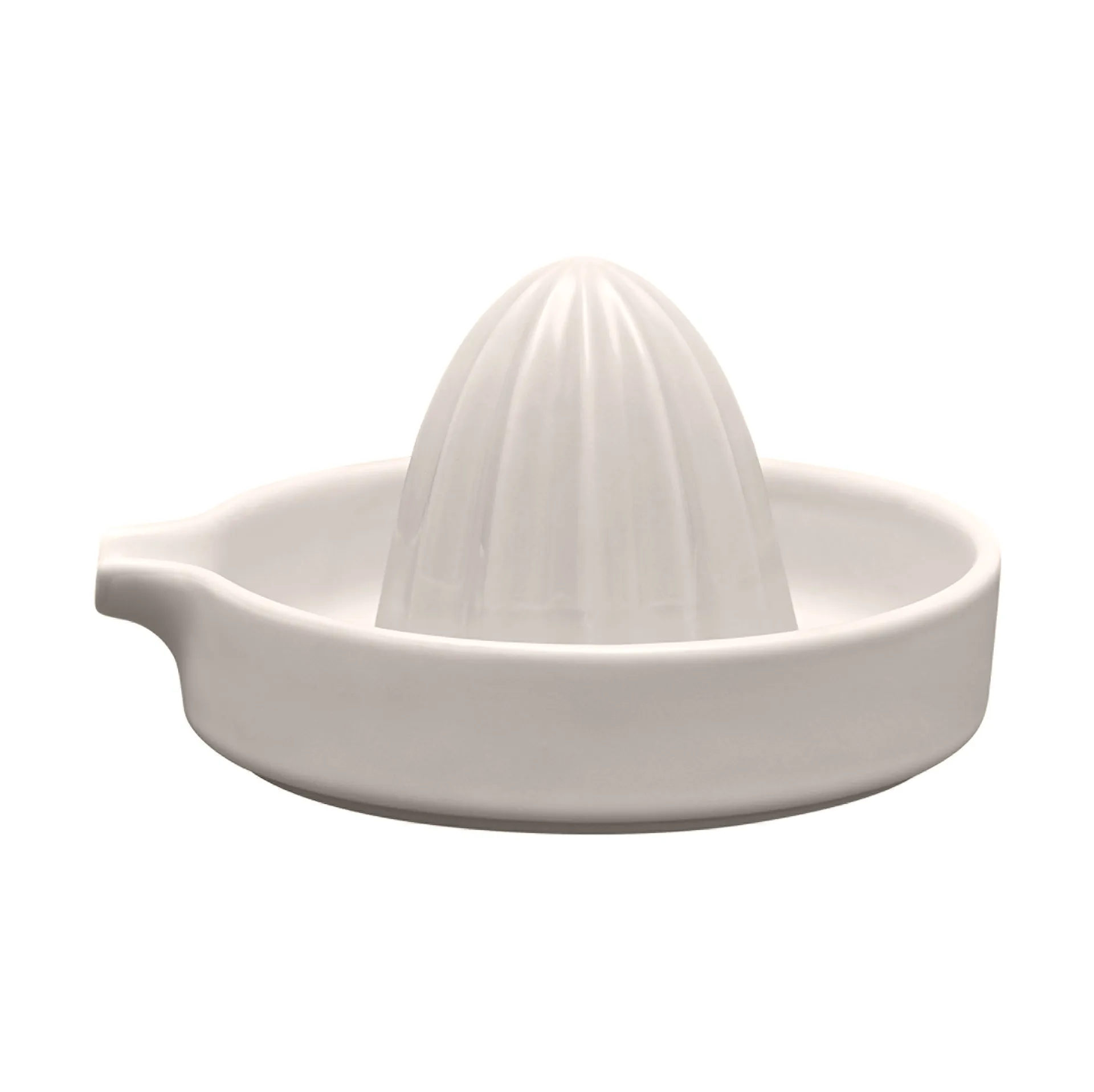 Pilar citruspers, Moonbeam blomus