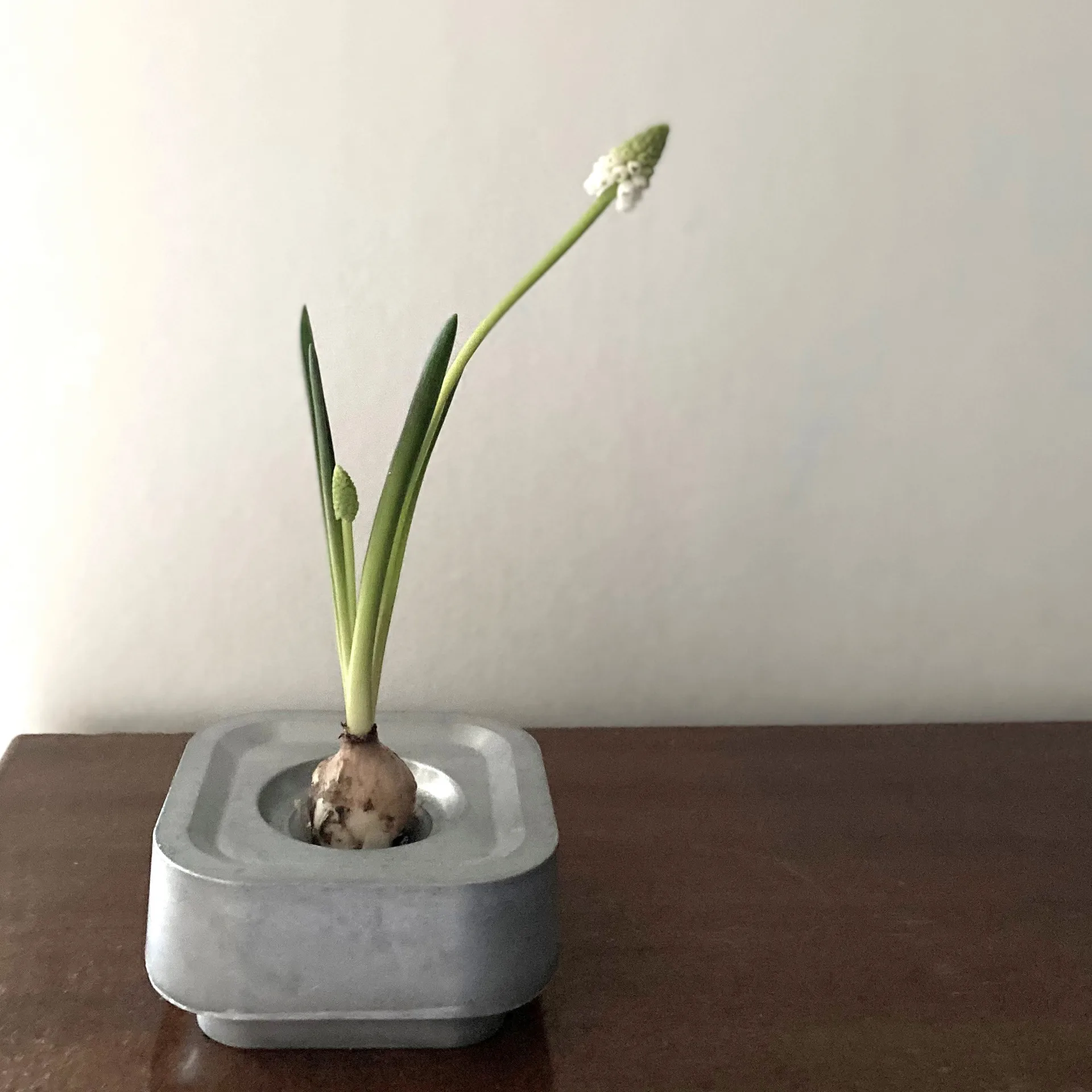 Kaarsenhouder Ettan, Aluminium Born In Sweden