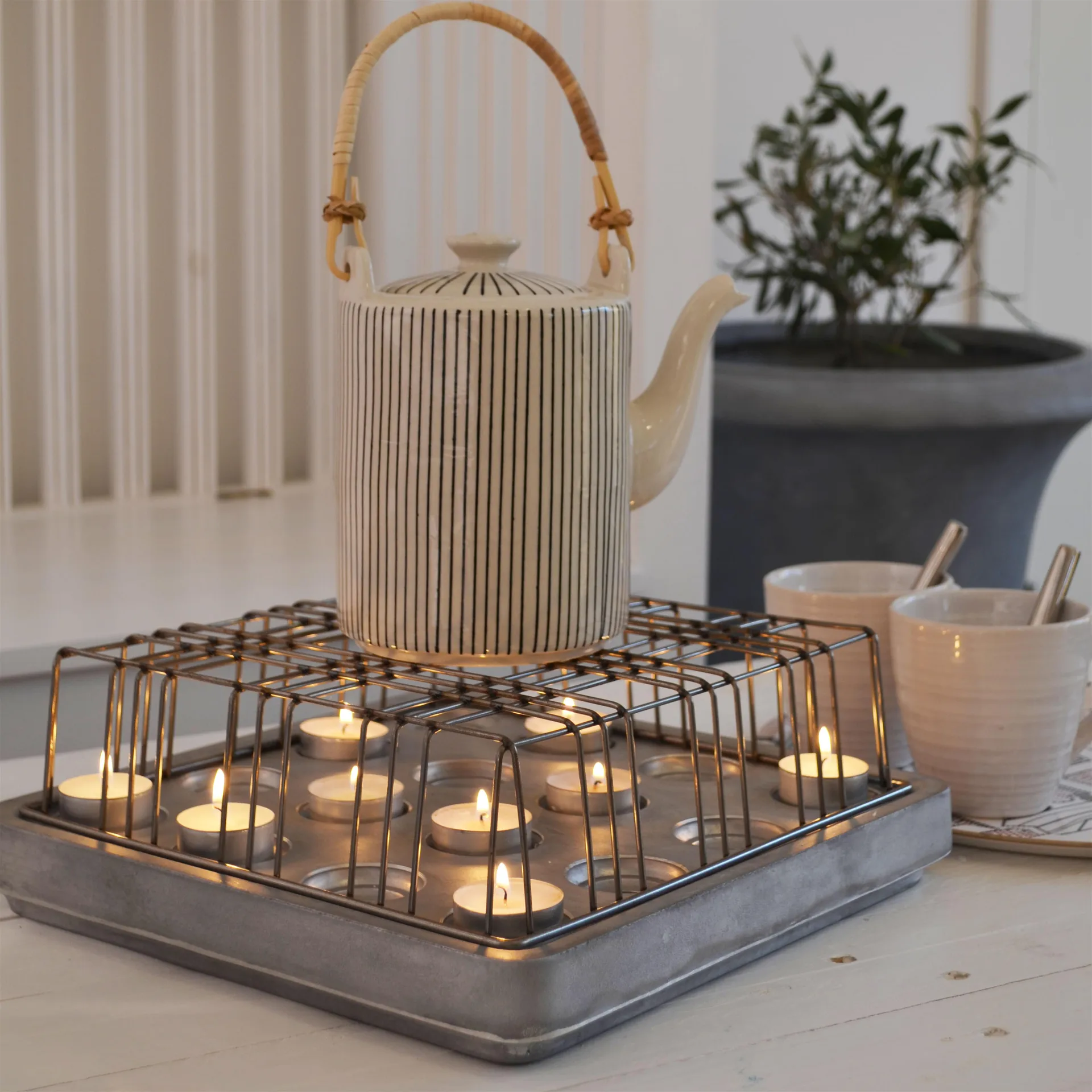 Stumpastaken rooster, groot Born In Sweden