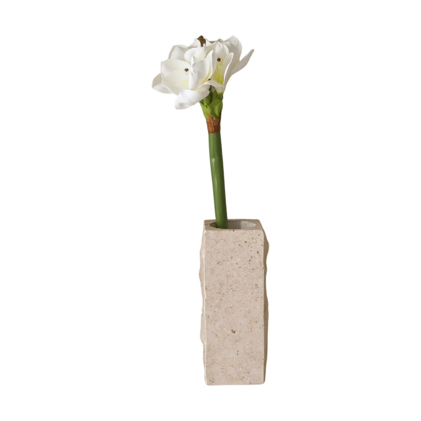 Amaryllis kunstbloem, Wit, 73 cm Botané