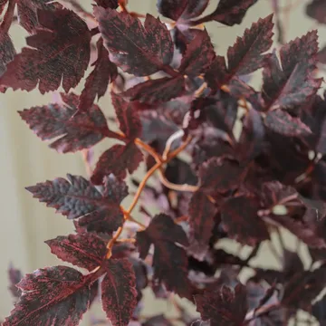 Burgundy Plum Leaves kunstboeket - Red, 85 cm, 1 stuks - Botané