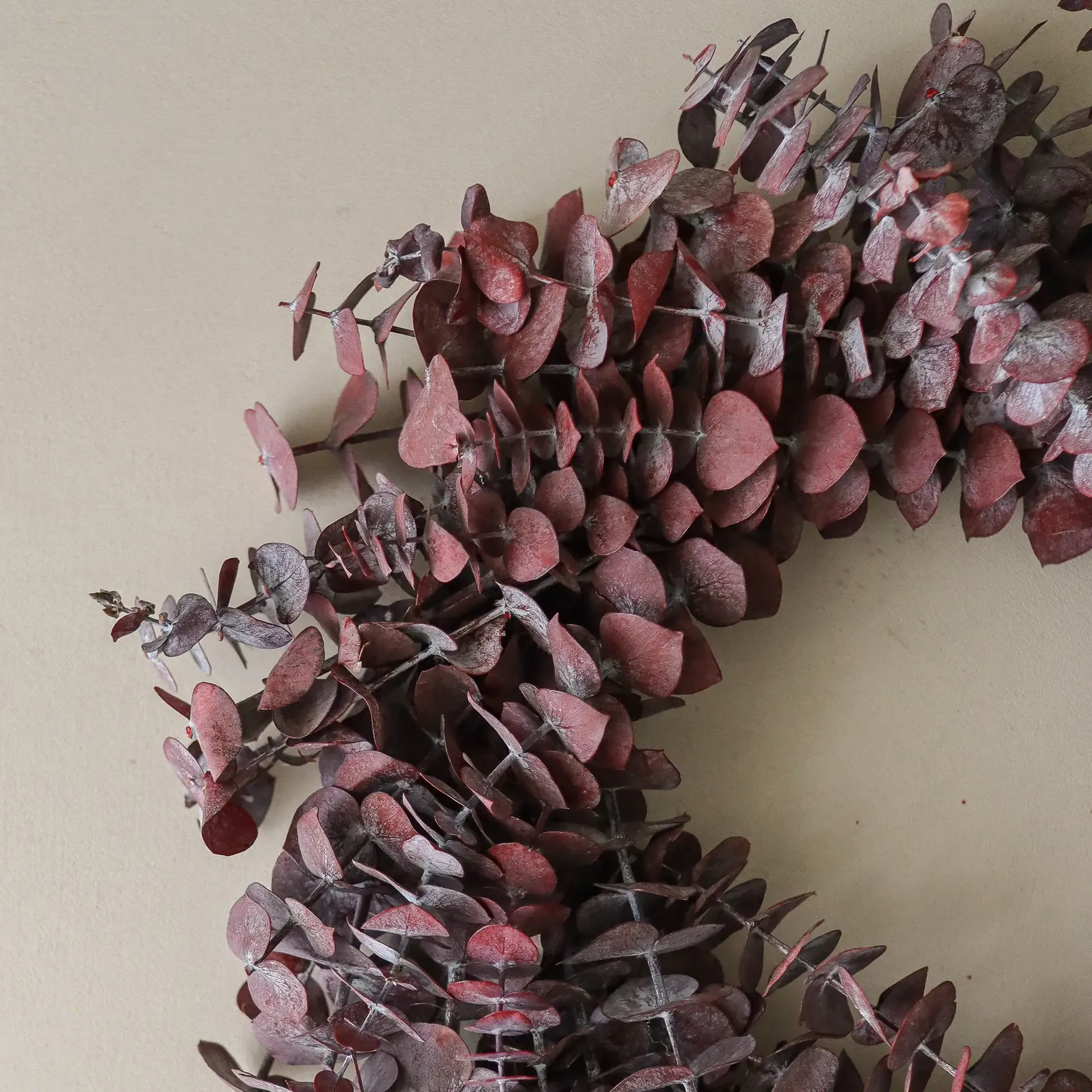 Eucalyptus Wreath krans, Donkerrood, Ø40 cm Botané