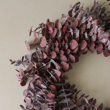 Eucalyptus Wreath krans - Donkerrood, Ø40 cm - Botané