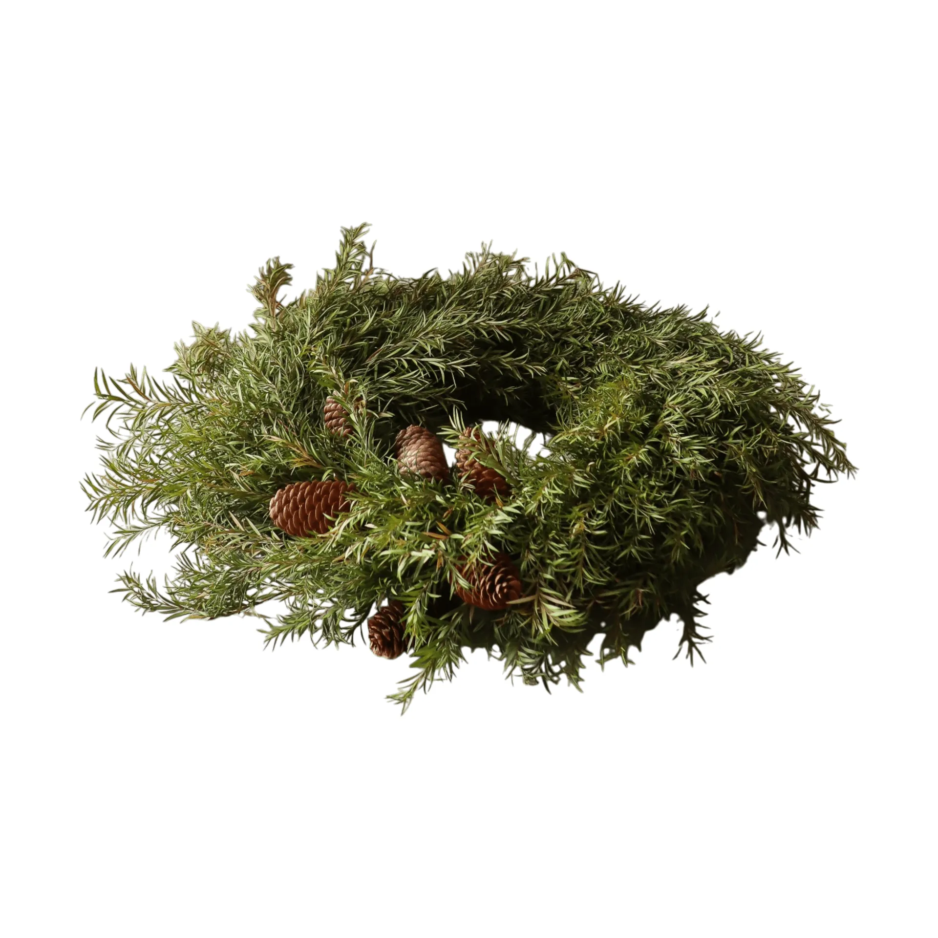 Evergreen Pine Wreath krans, Dennengroen, Ø40 cm Botané