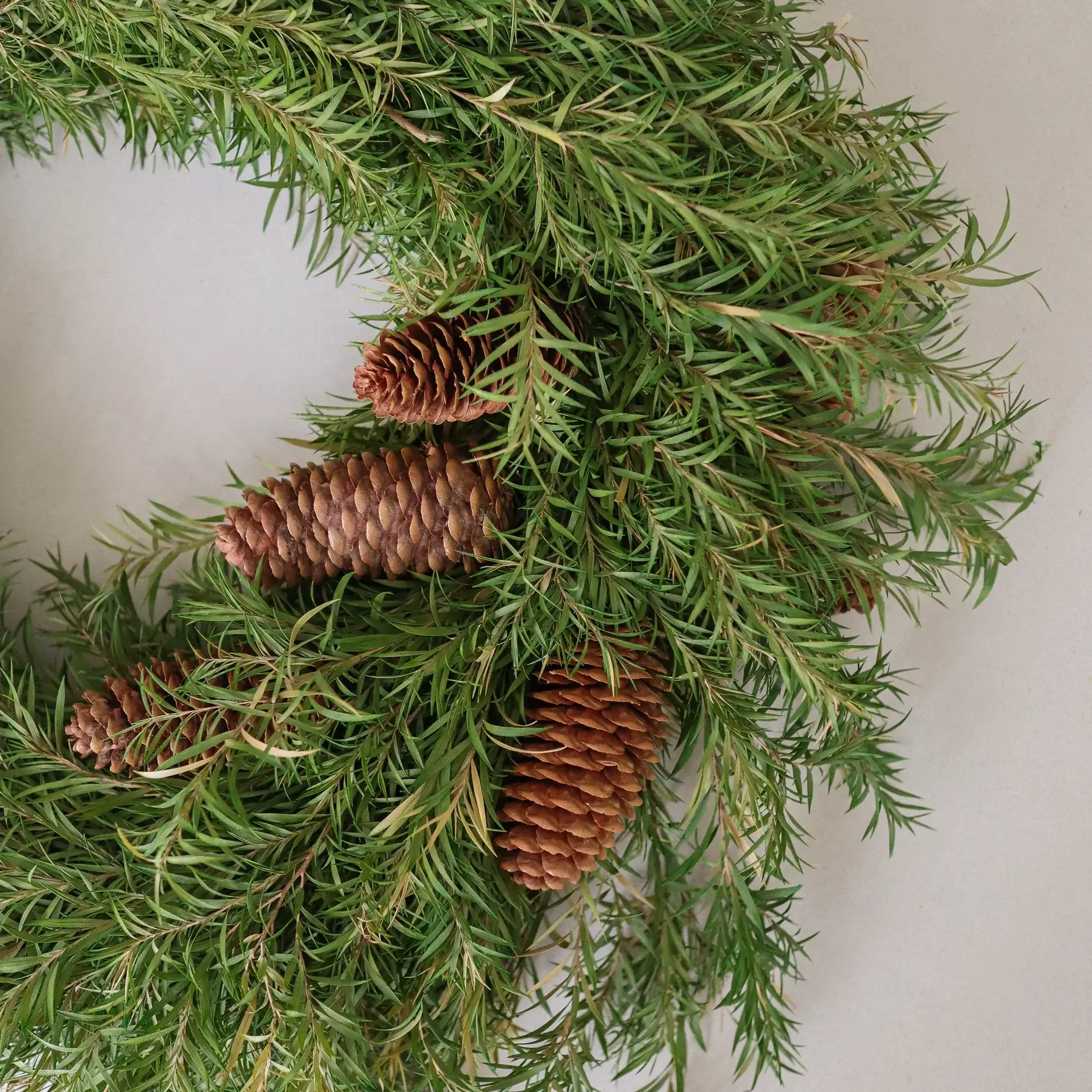 Evergreen Pine Wreath krans, Dennengroen, Ø40 cm Botané