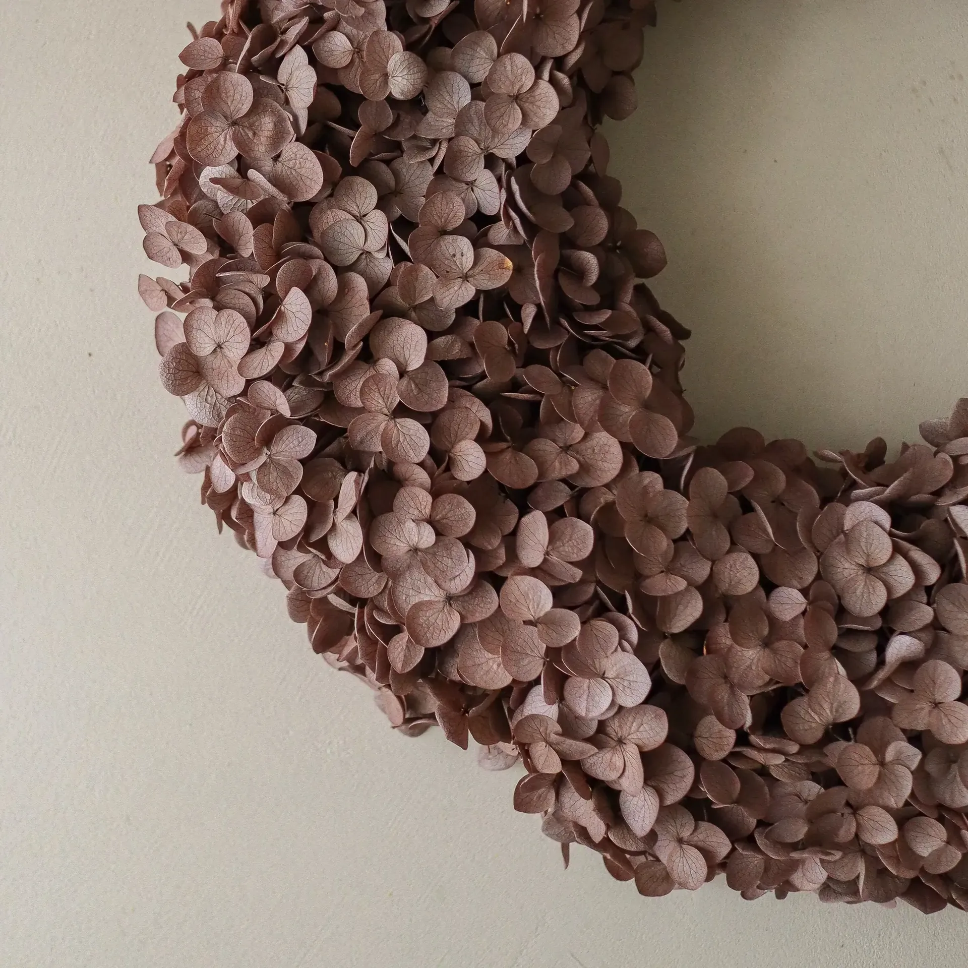 Hortensia krans, Brown, 40 cm Botané
