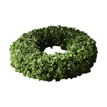 Hortensia krans - Green, Ø40 cm - Botané