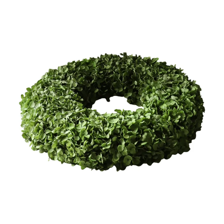 Hortensia krans - Green, Ø40 cm - Botané
