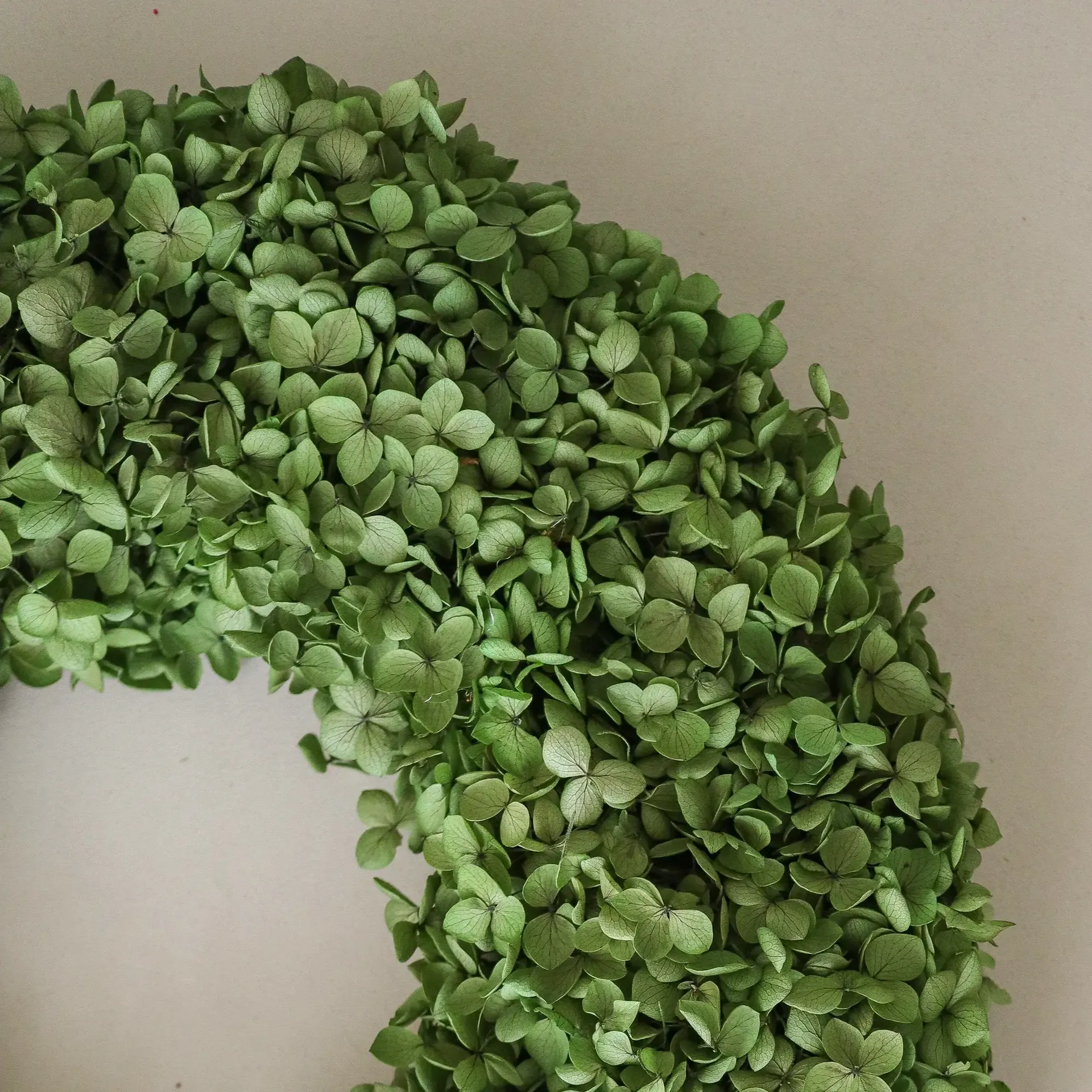 Hortensia krans, Green, Ø40 cm Botané