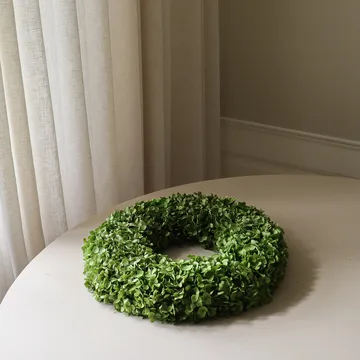 Hortensia krans - Green, Ø40 cm - Botané