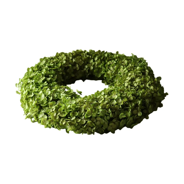 Hortensia krans - Light green, Ø40 cm - Botané