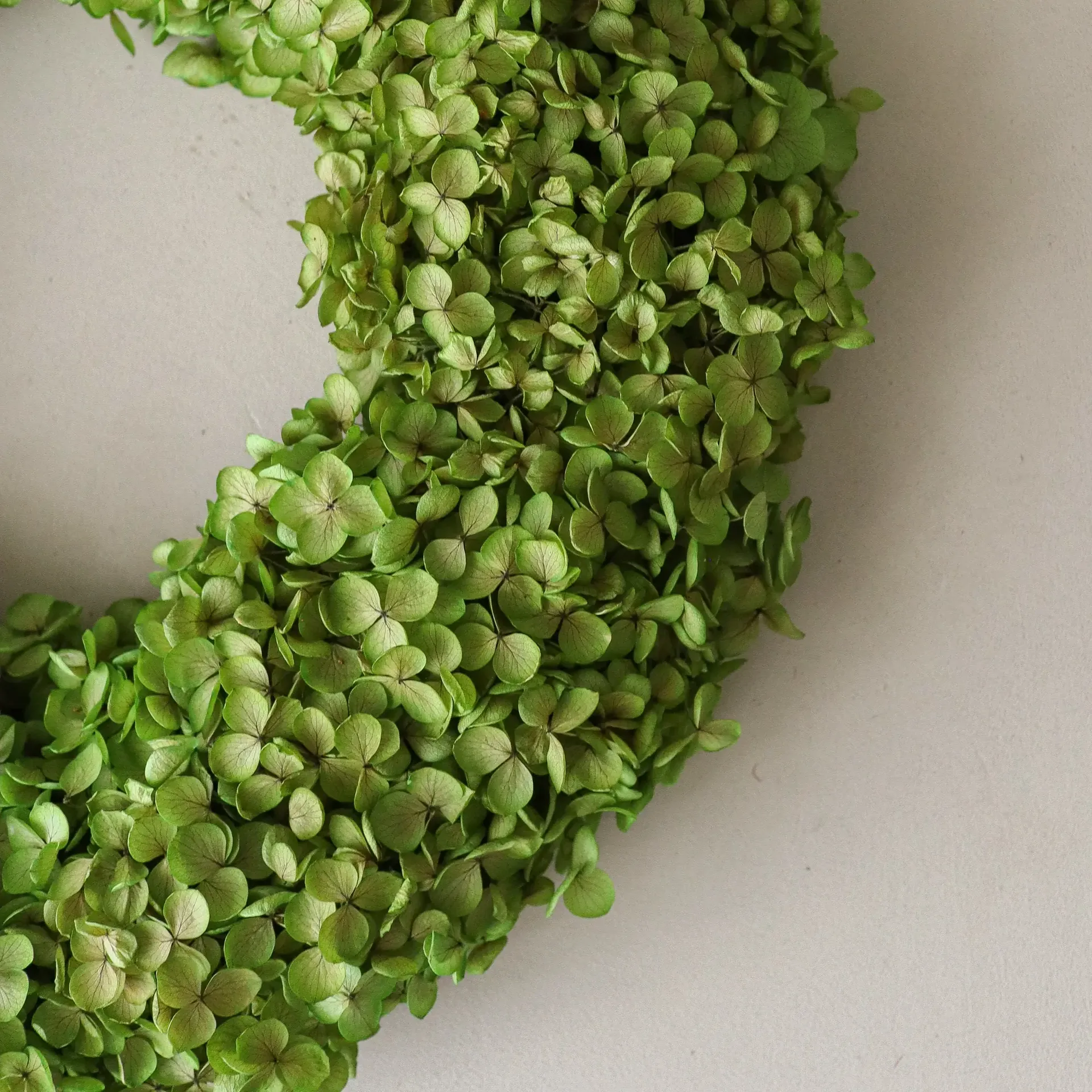 Hortensia krans, Light green, Ø40 cm Botané