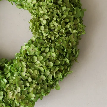 Hortensia krans - Light green, Ø40 cm - Botané