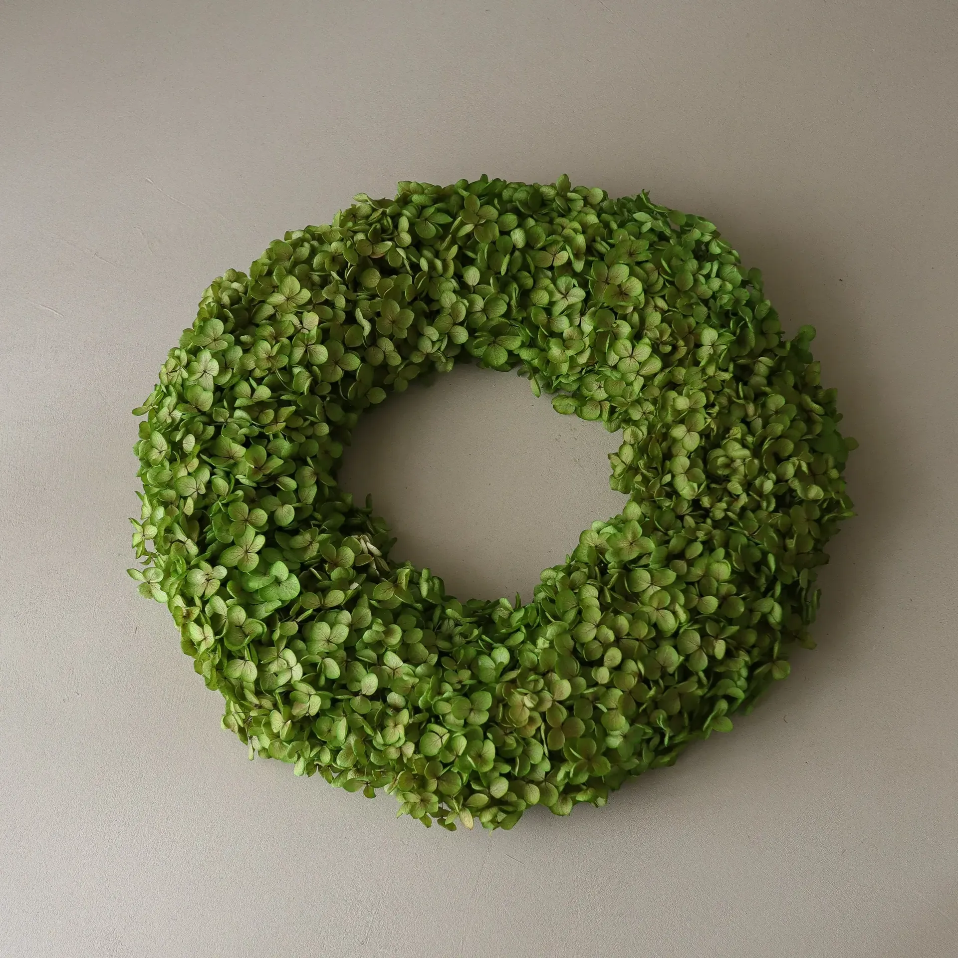 Hortensia krans, Light green, Ø40 cm Botané