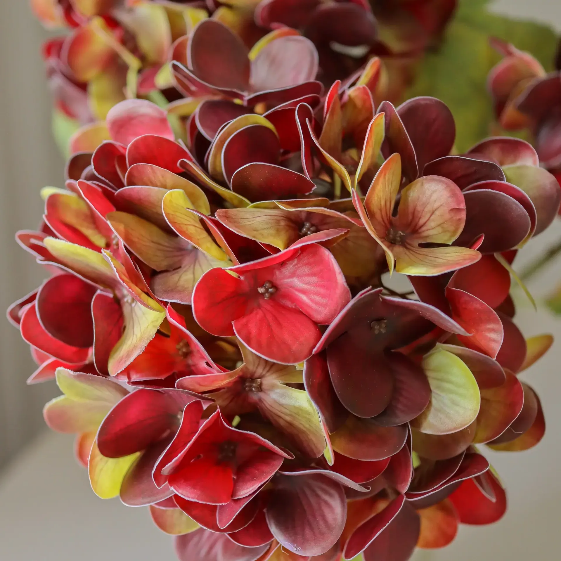 hortensia kunstbloem, Diep bordeaux, 60 cm, 1 stuks Botané