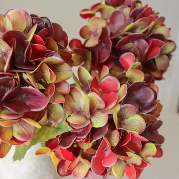 Hortensia kunstboeket - Diep bordeaux, 60 cm, 6 stuks - Botané